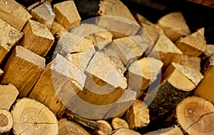 Firewood logs in pile