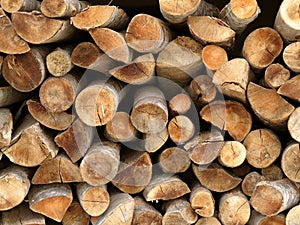 Firewood logs in a pile