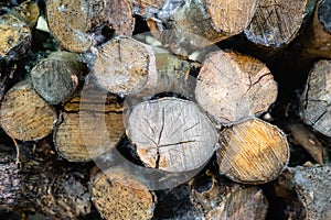 Firewood logs texture of an olive trees