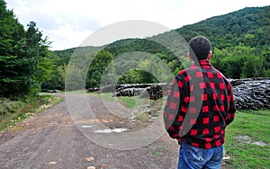 Firewood and Lumberjack