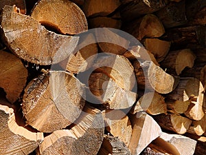 Firewood - natural texture