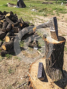 Firewood, oak, cut in pieces