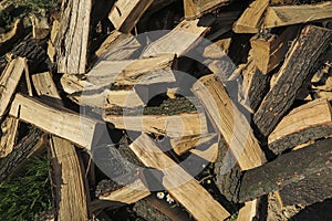 Firewood, oak, cut in pieces