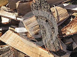 Firewood, oak, cut in pieces