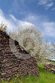 Firewood in Odenwald region