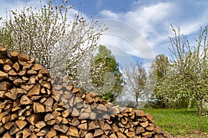 Firewood in Odenwald region