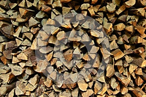 Firewood one