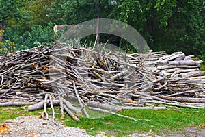 Firewood piled a heap in a field