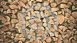 Firewood piled up high, UK photo