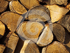 Firewood is prepared for winter