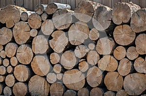 Firewood rounds, stacked at a fence