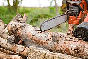 Firewood saws with a chainsaw