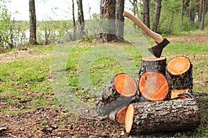 Firewood Splitting