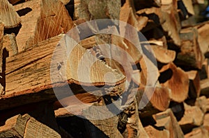 Firewood stack with individual log