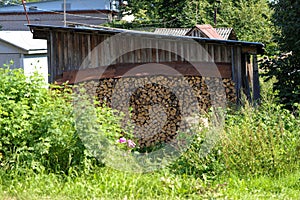 The firewood is stacked in a woodpile against the wall of a wooden shed