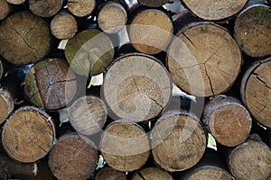 Firewood stacks background photo