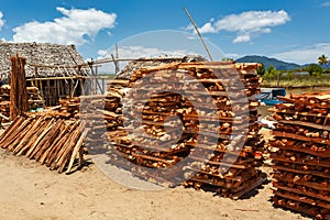 Firewood on street marketplace, Maroantsetra Madagascar