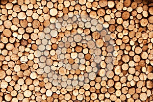 Firewood texture