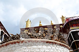 The firewood of Tibetan Buddhism temples