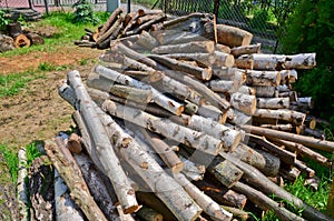 Firewood