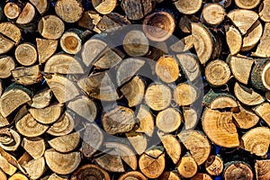 Firewood for the winter. Firewood for barbecue. A background made of wood. Cut and chopped logs with ready-made pieces of wood for