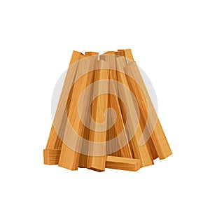 Firewood, wood materials, campfire site, vector icon