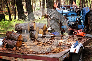 Firewood Work Tools photo