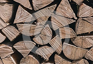 Firewoods in the pile close-up.