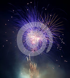 Firework