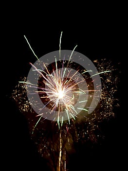 Firework amusement entertainment  fun at night