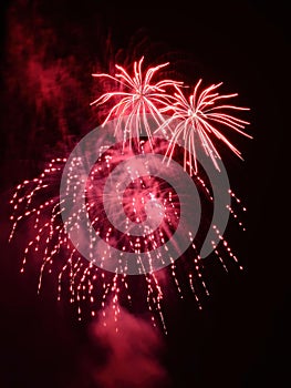 Firework amusement entertainment fun  at night