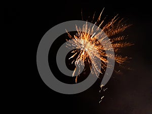 Firework and black background