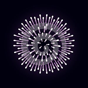 Firework is bursting with sparkles on dark night background.