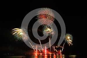 Firework in dark sky background