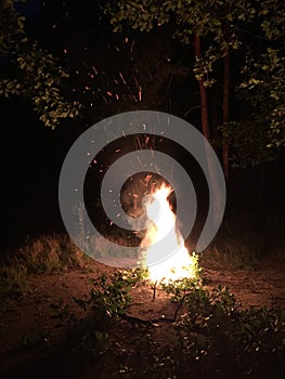 Firework explodes in fire in Forest