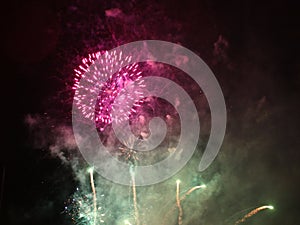 Firework Fireworks - Stock Photos