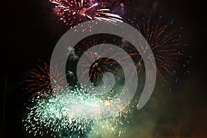 Firework Fireworks - Stock Photos