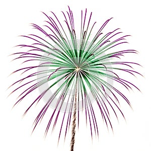 Firework with green and purple stripes isolated on white background