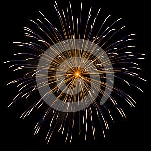 Firework over dark sky