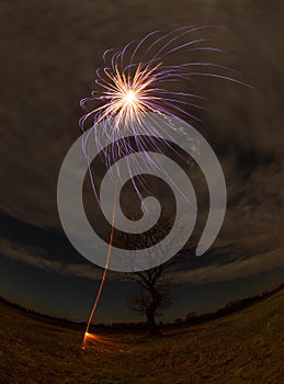 Firework, a single rocket