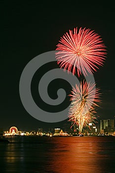 Fuochi d'artificio 