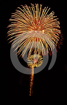 Fuochi d'artificio fiorire 