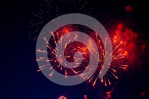 Fireworks with a bright middle and red and blue sparks on the background of the night sky