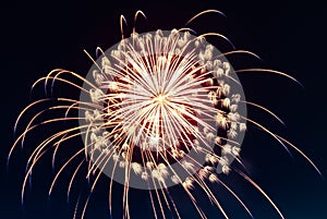 Fireworks bursting in the sky on the Fourth 4th of July