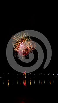 fireworks in the darknight