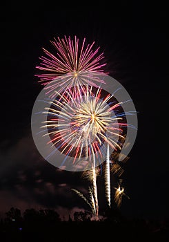 Fireworks of different colors with the black background