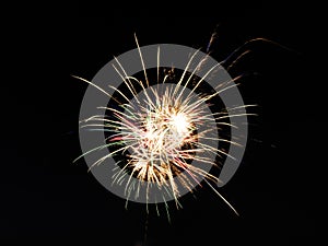 Fireworks display pastel color centered in black sky