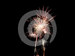 Fireworks explode in black night sky celebration