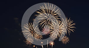 Fireworks Exploding in Night Sky Celebration