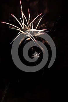Fireworks-Fuegos artificiales